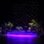 bacontheatre